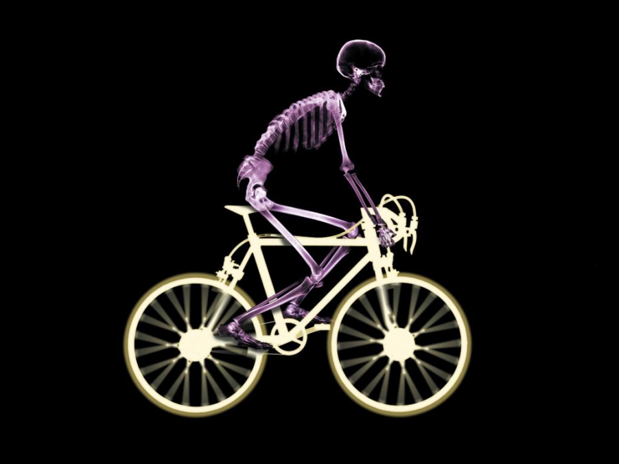 8386277288_4815f62679_b.jpg