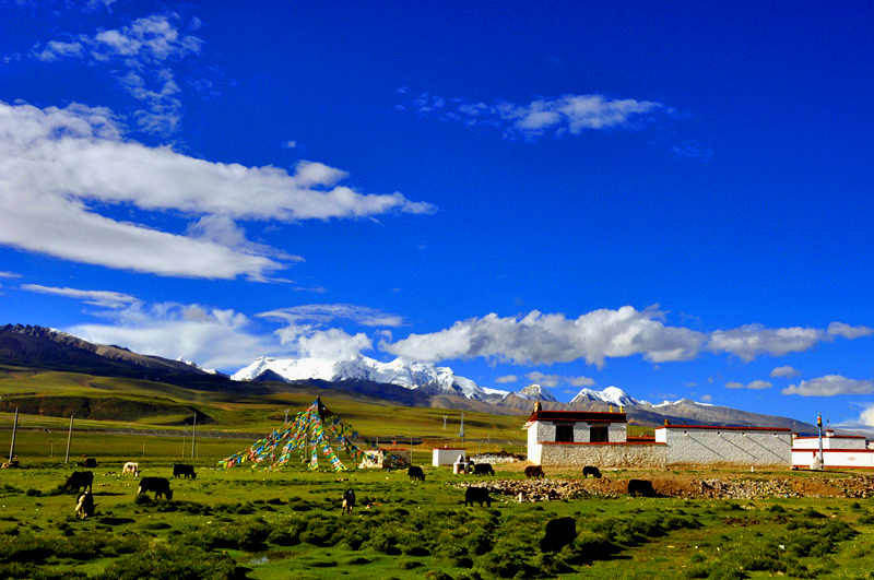 DSC_0390_副本副本.jpg
