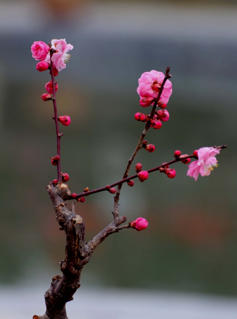 IMG_5904 副本.jpg