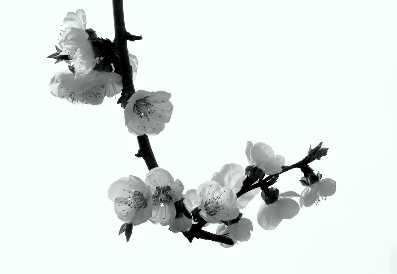 IMG_1473.JPG