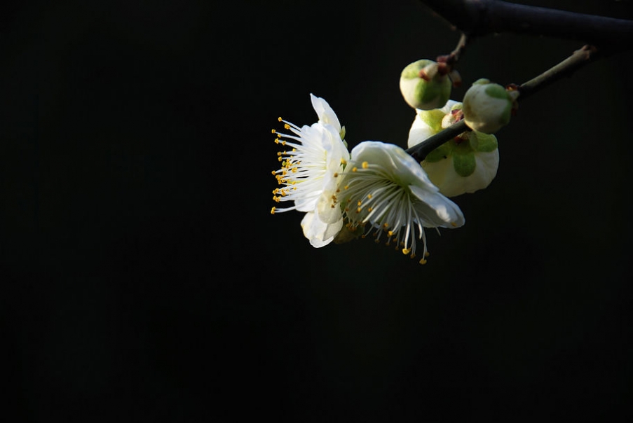 DSC_0058.JPG