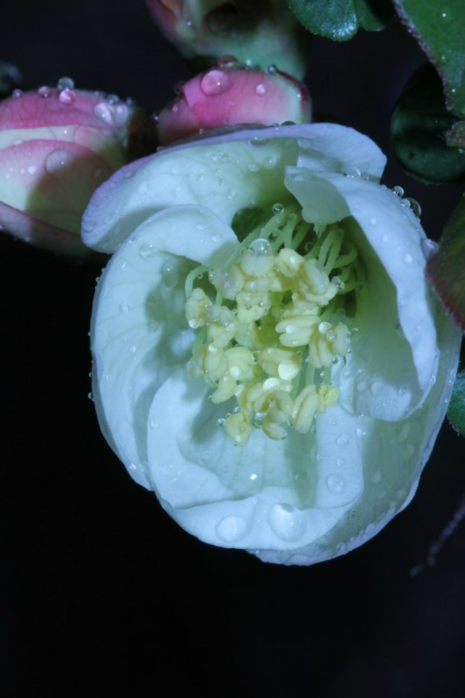 psb_meitu_3.jpg