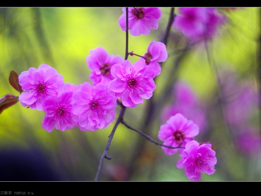 IMGP2895.jpg