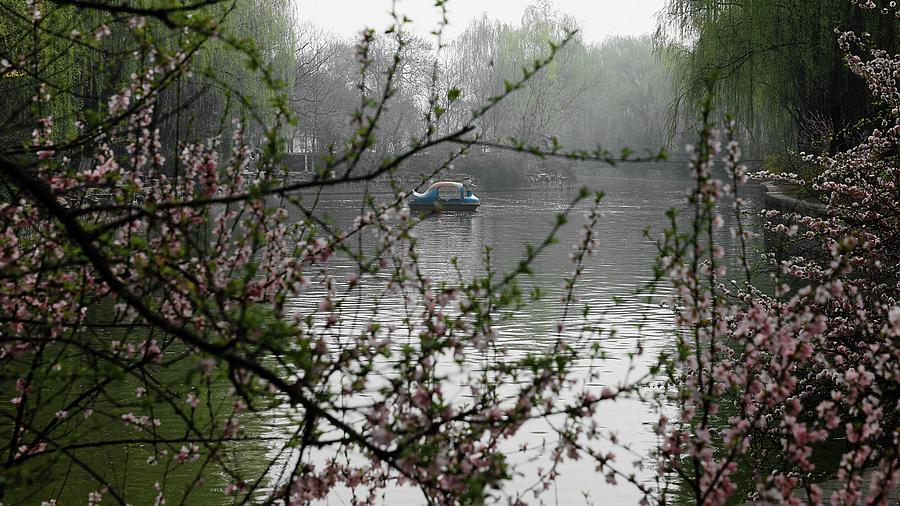IMG_2668_副本.jpg