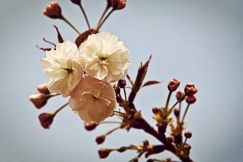 IMG_4095_副本.jpg