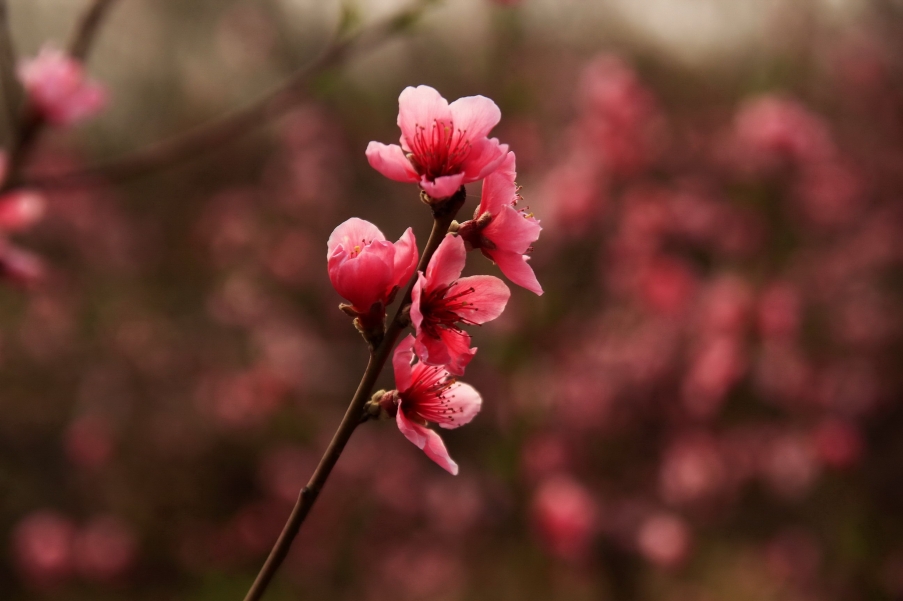 _MG_7595AA_调整大小.jpg