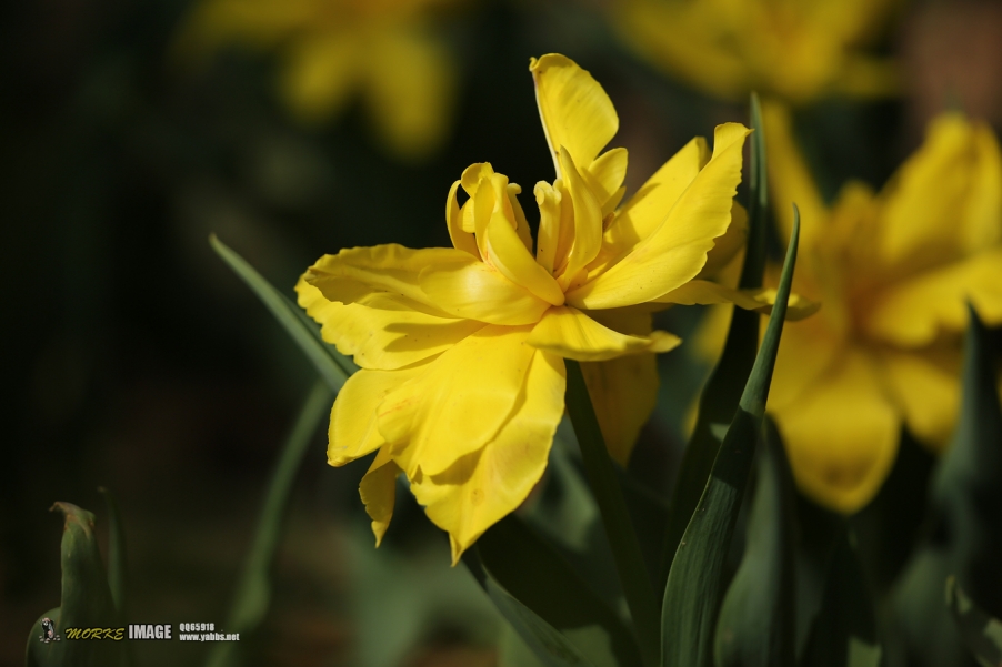 1G8A4773a.jpg