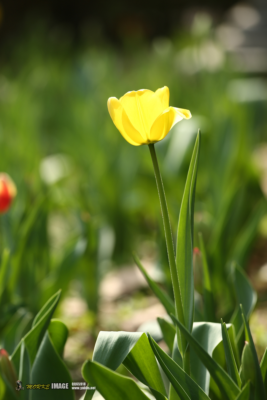 1G8A4845a.jpg