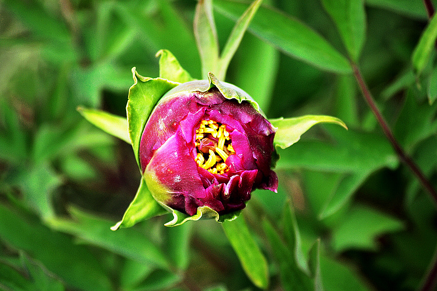 DSC_0260.jpg