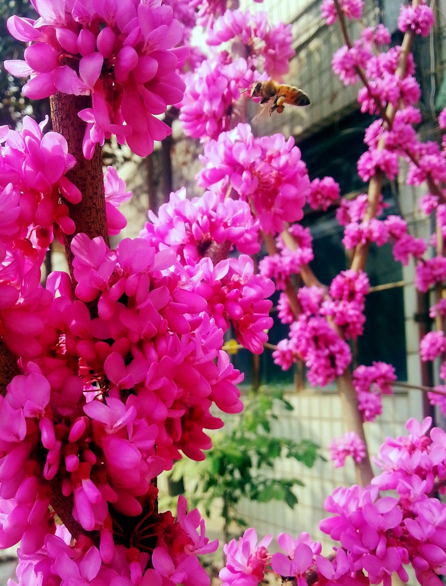 20130322_144639.jpg