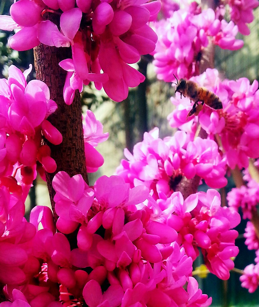 20130322_144640-2-1.jpg