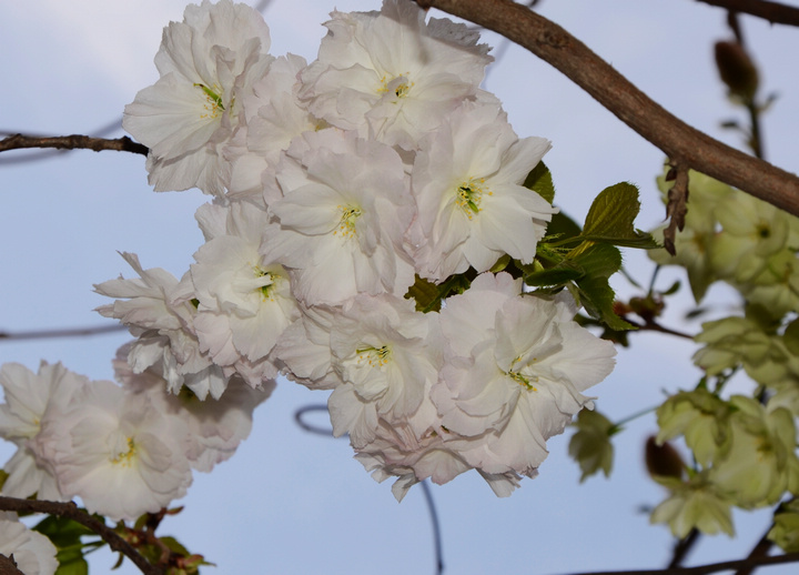 DSC_4702.jpg