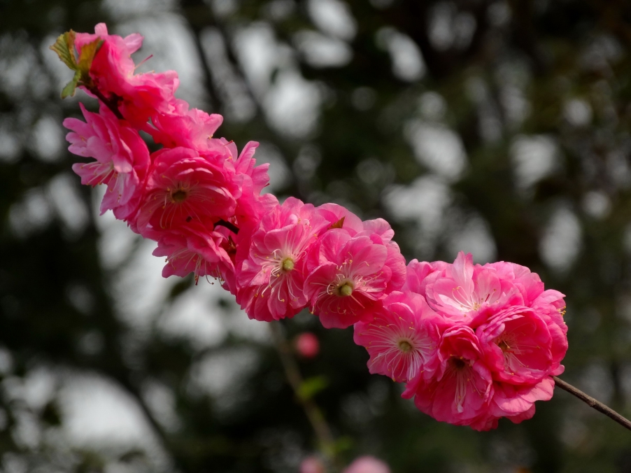 DSC00327A_调整大小.jpg