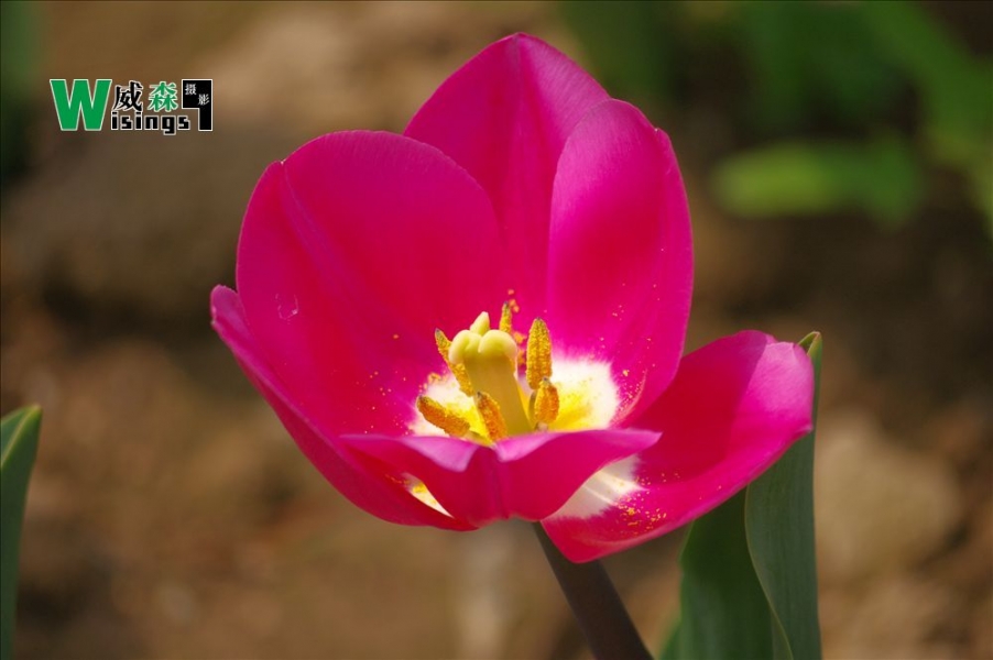 IMGP6009.JPG