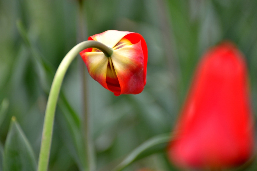 DSC_3102.jpg