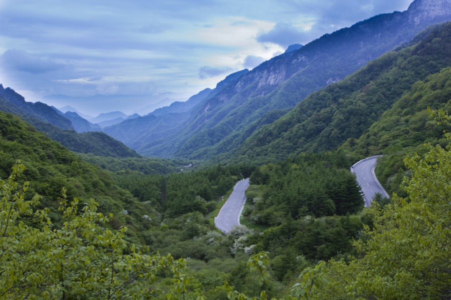 IMG_7668w 副本.jpg