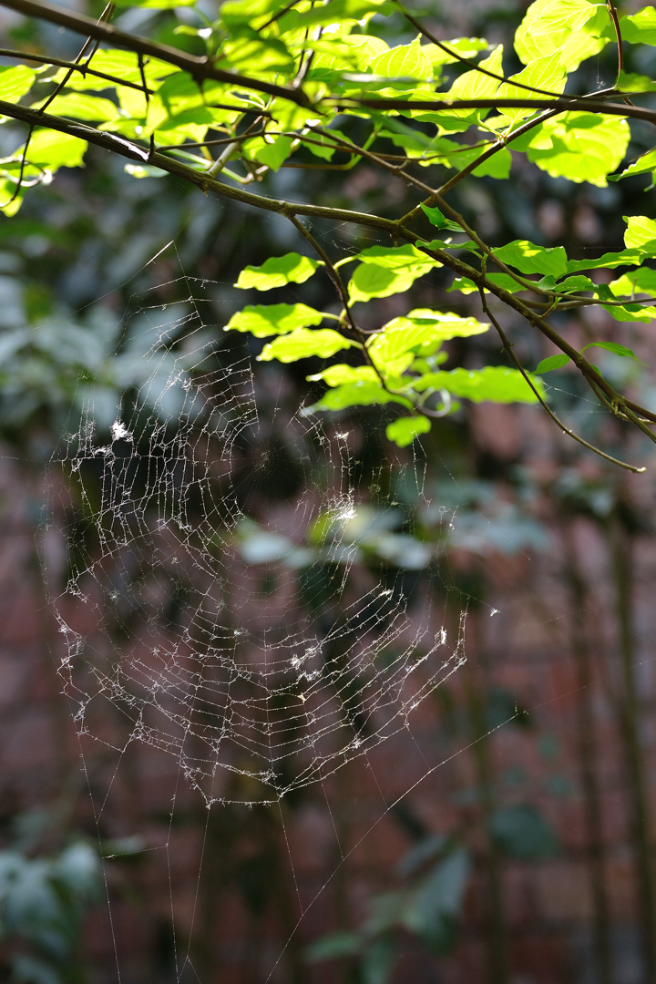 DSC_3513.jpg