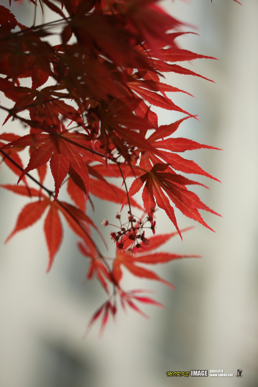 1G8A5428a.jpg