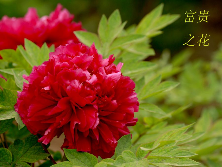 学0001.JPG