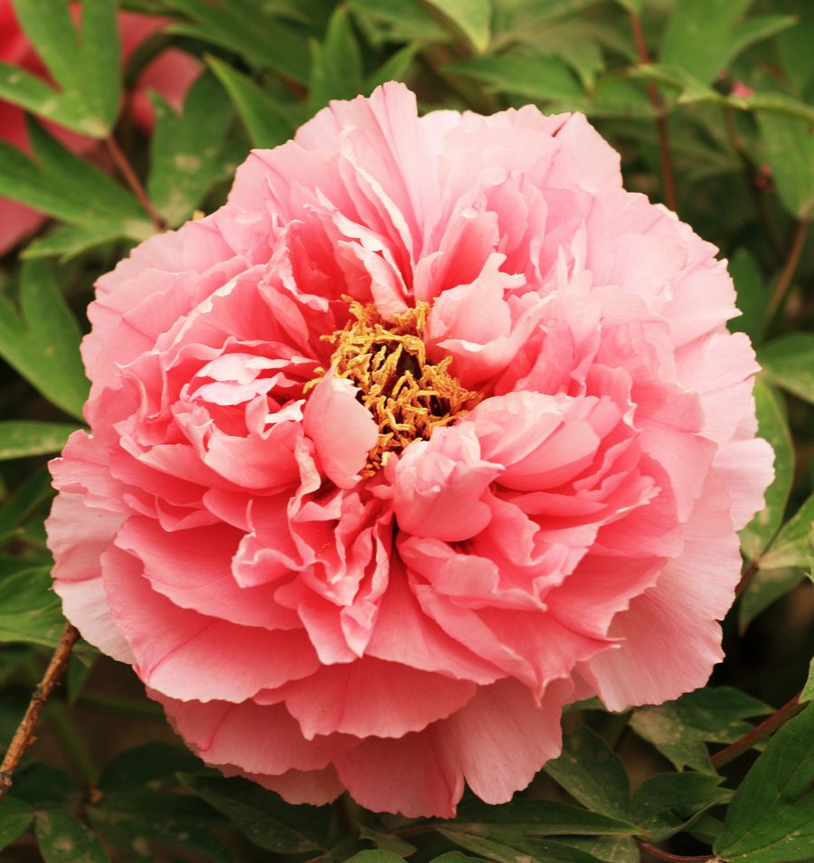 学0044.JPG