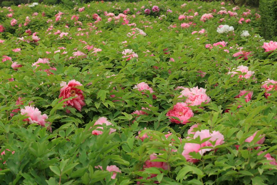 学0086.JPG