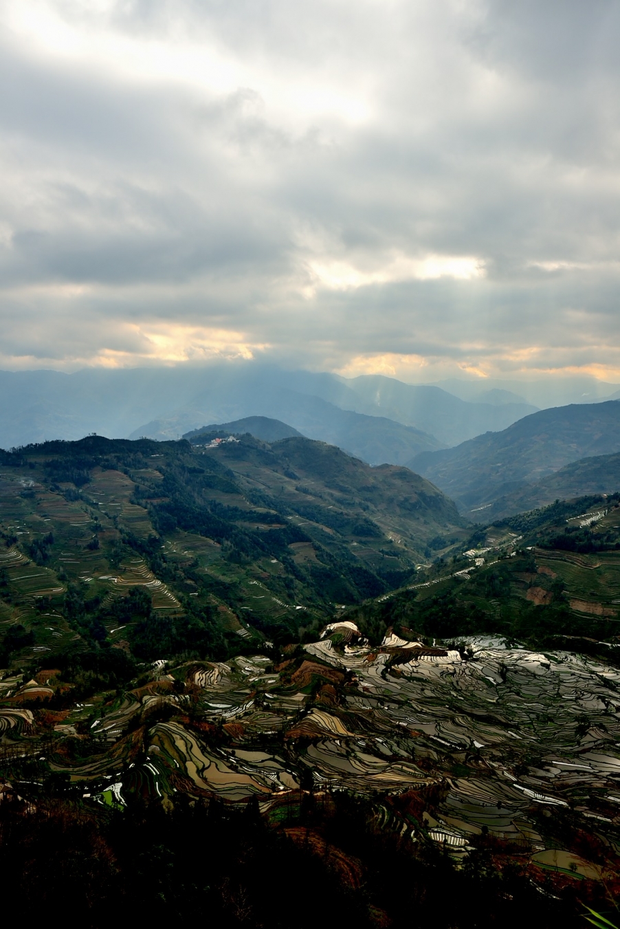 DSC_2463.JPG