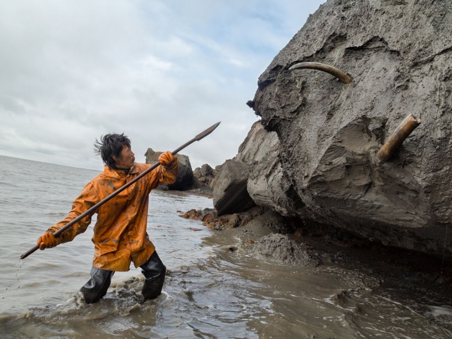 mammoth-tusk-arbugaeva_65181_990x742.jpg