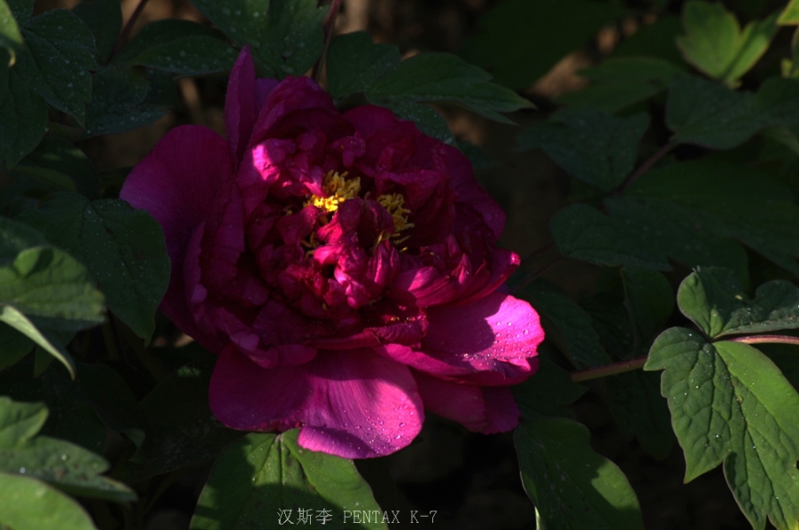 IMGP2069.jpg