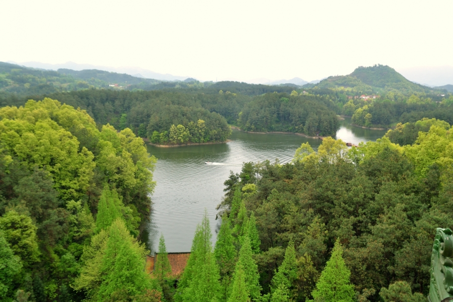DSC_3913.jpg