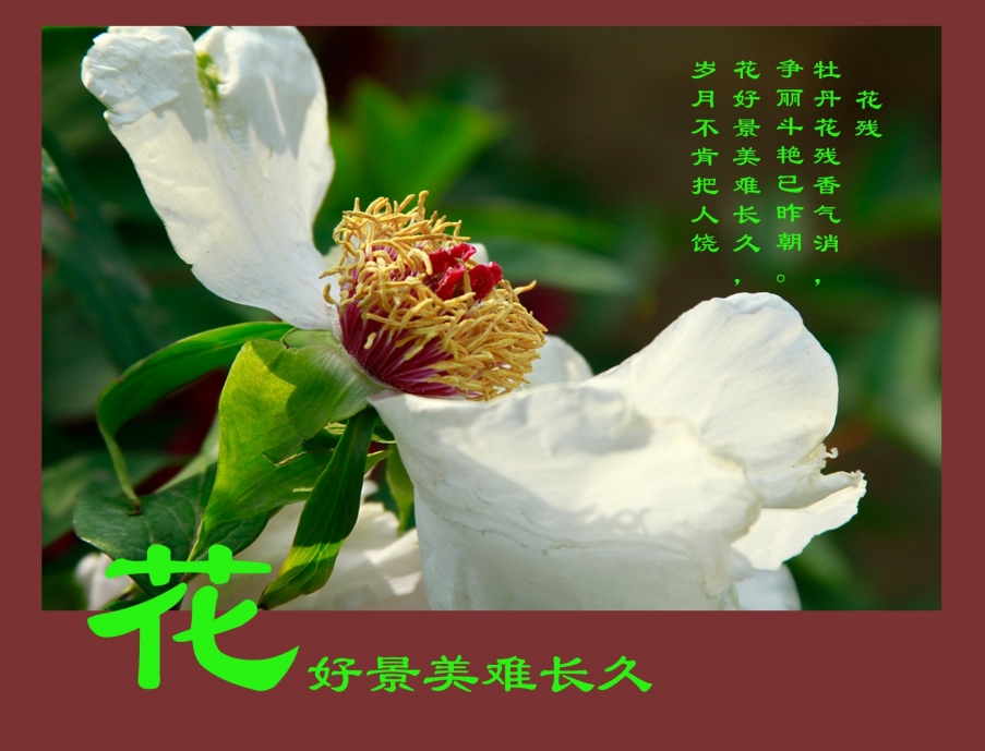 未标题-3.jpg