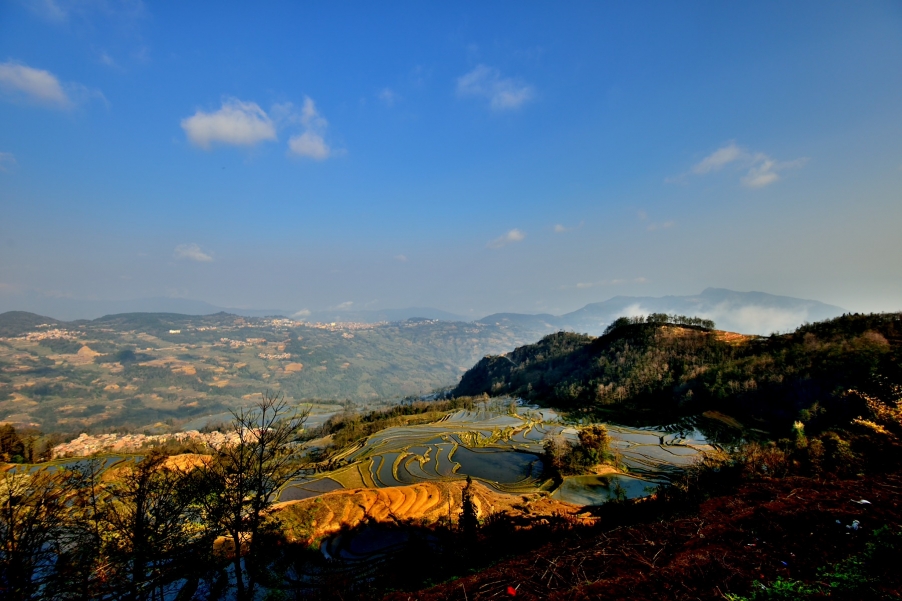 DSC_2691.JPG