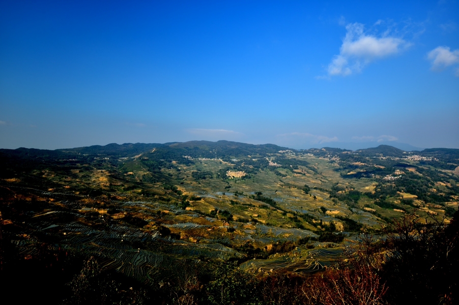 DSC_2701.JPG