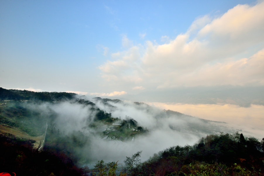 DSC_2841.JPG