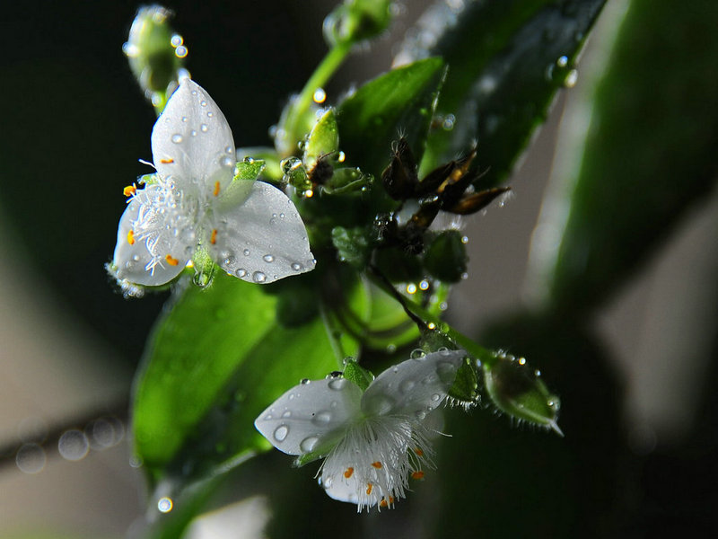 DSC_6281.jpg