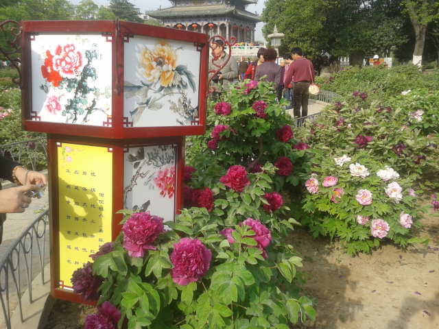 2013-04-13 08.33.50.jpg