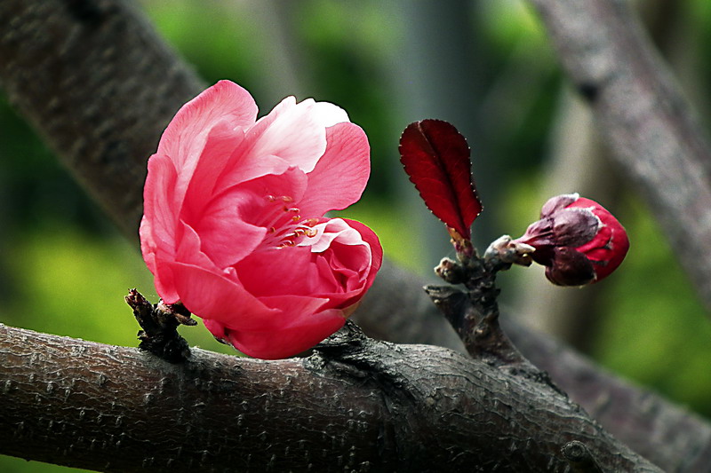 DSCF5493.jpg