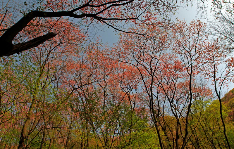 IMG_4460_调整大小.JPG
