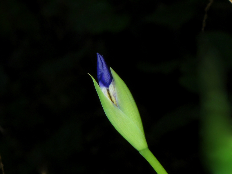 DSC00900.jpg
