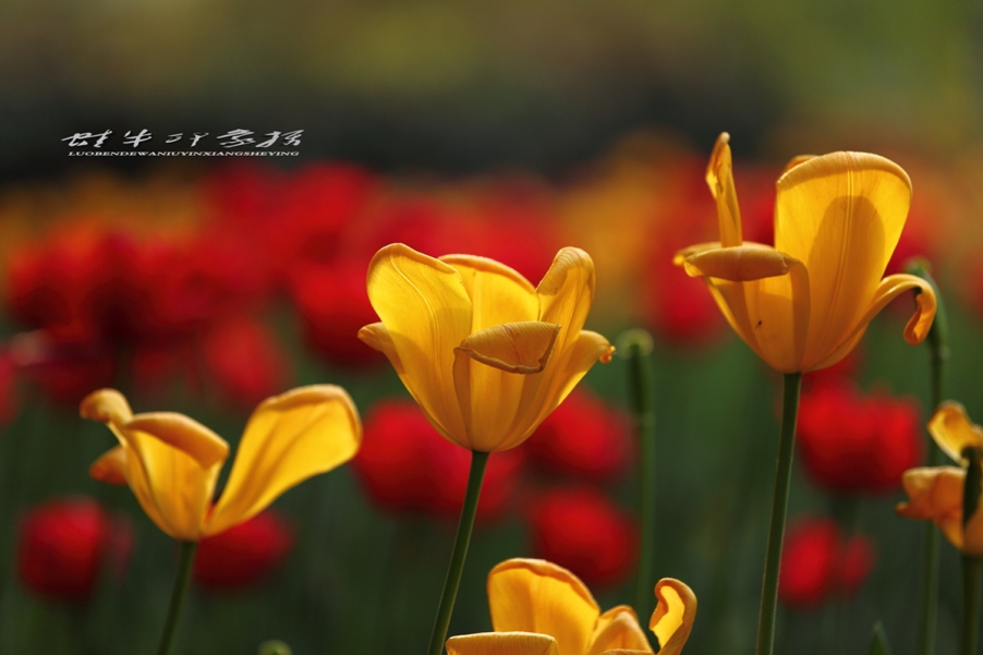 231240zgf2f7wc195fw5g5.jpg