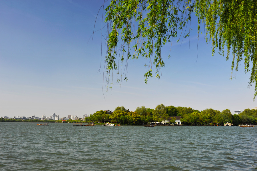 DSC_3767.JPG