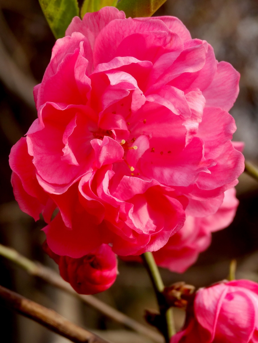 DSC00297A_调整大小.jpg