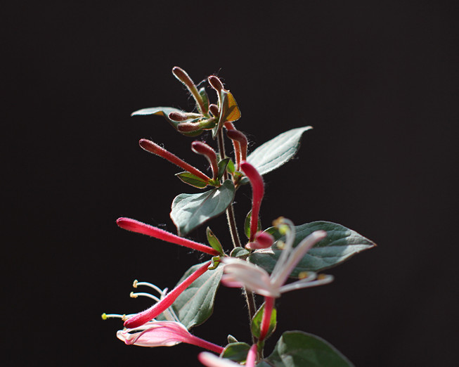 IMG_2322_副本.jpg