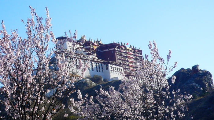 P1130324.JPG