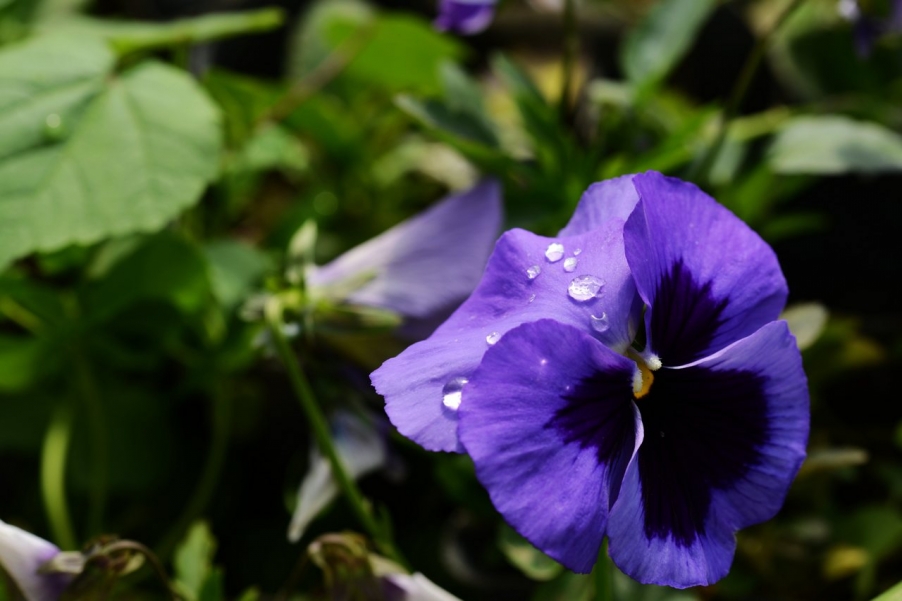 DSC_9494.jpg