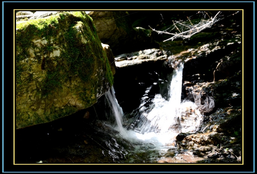 DSC_2005.jpg