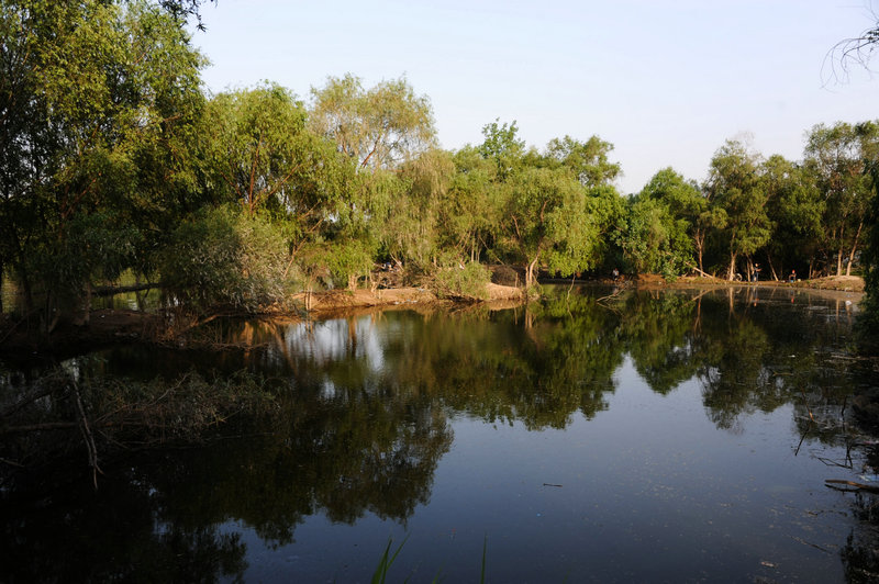 DSC_7324_HZP.jpg