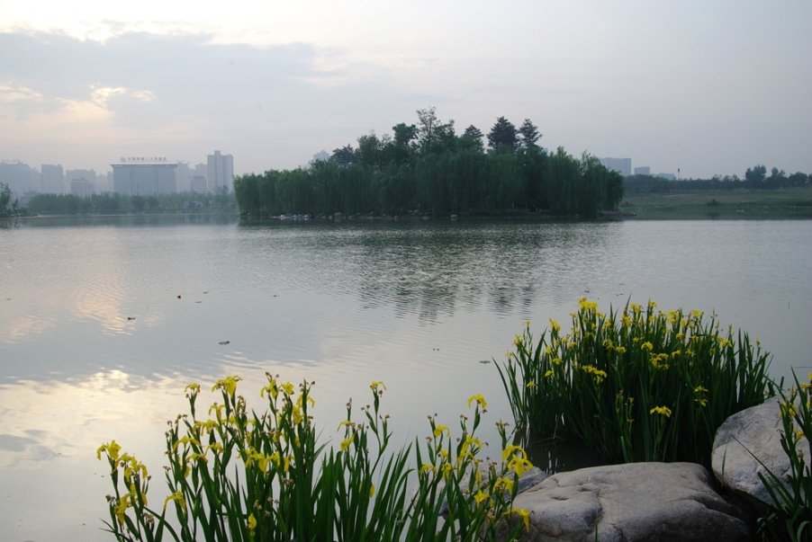 IMGP3719.jpg