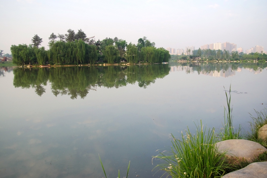 IMGP3733.jpg