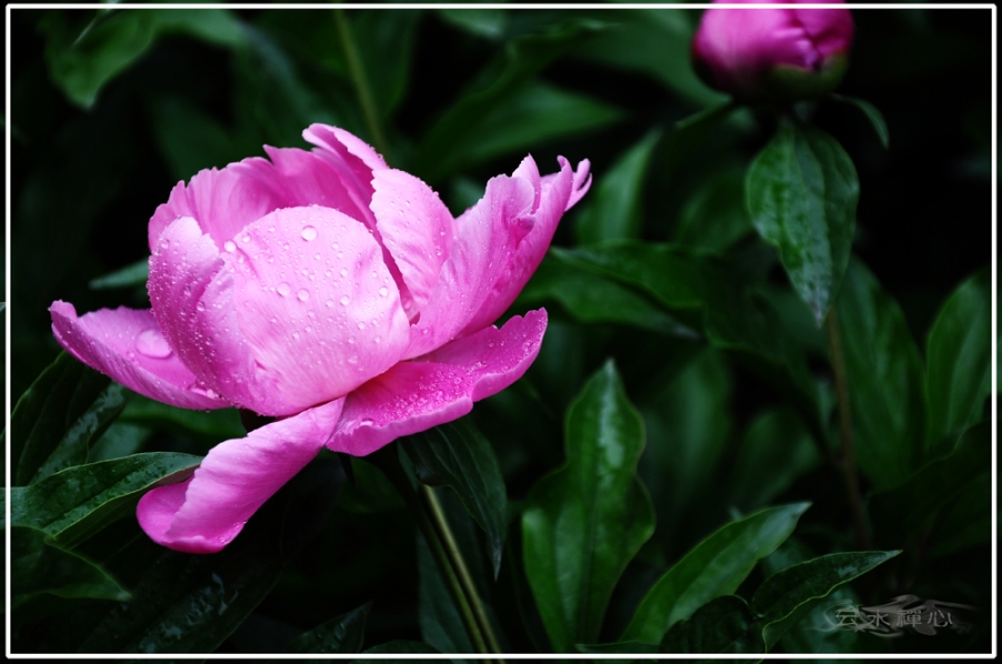 DSC_0001.JPG