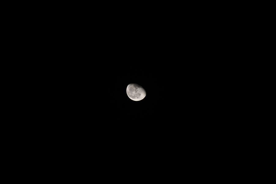 IMG_0083.JPG